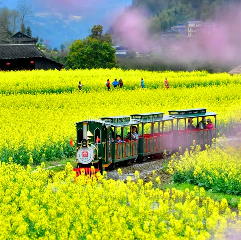 电动观光车助力农家乐旅游发展