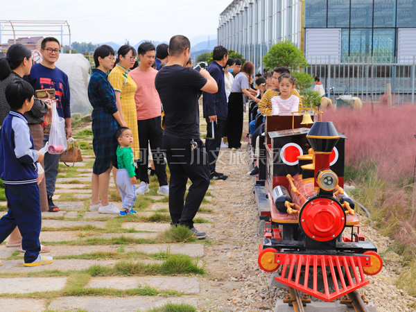 轨道观光小火车,景区轨道观光小火车厂家,新型轨道观光小火车价格